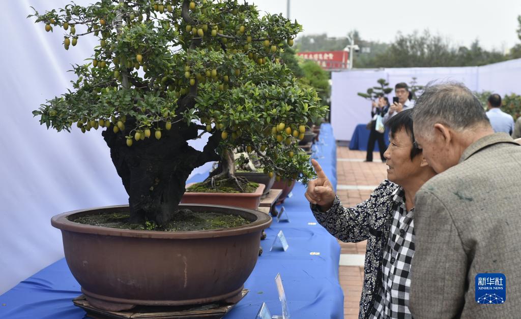 金猴爷老虎机上下分